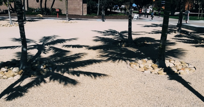 Blog Post One:  Ten Things to Do with Starting Lines by Christopher Dean