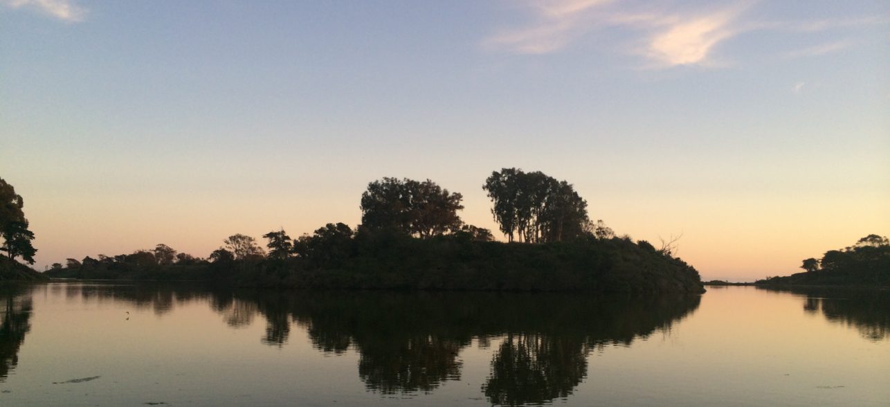 Spring Edition of “Talking with the Authors”